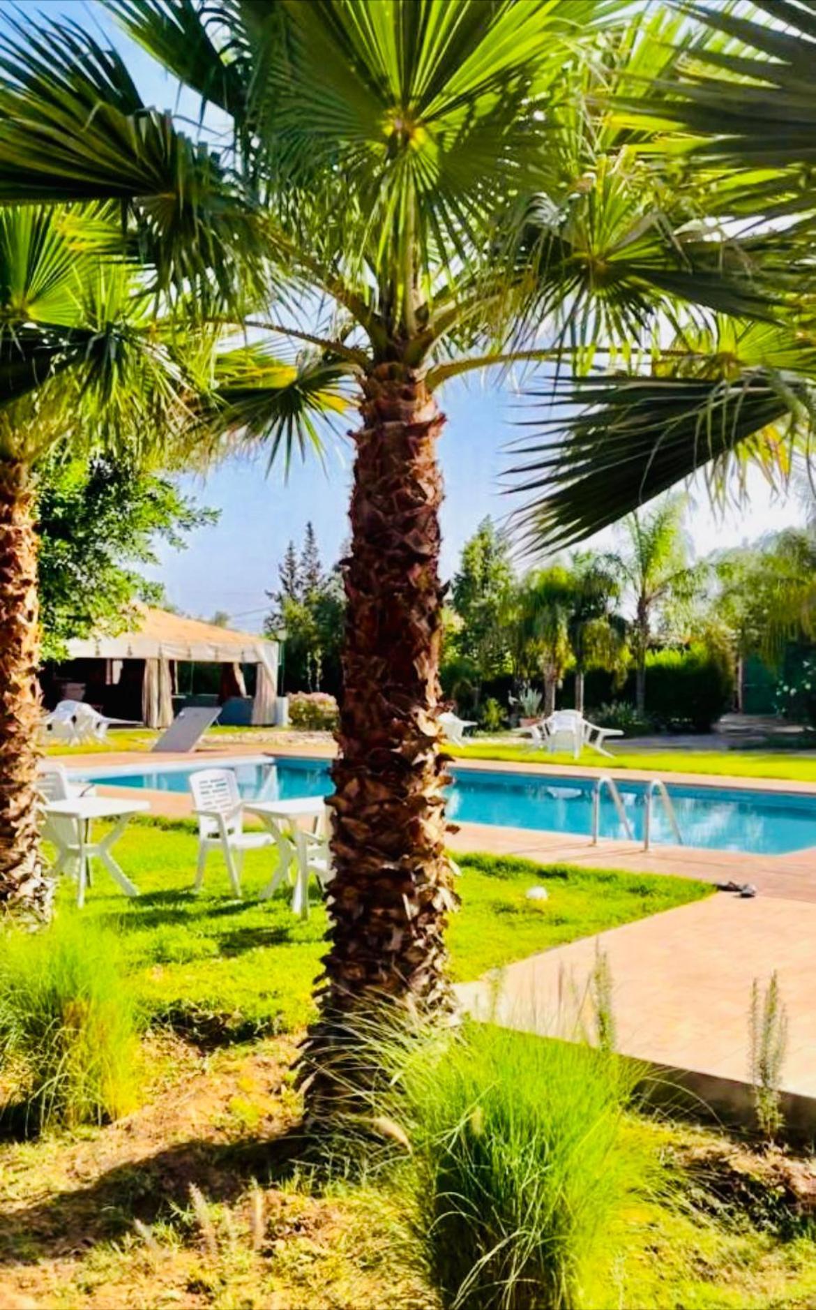Villa Baddi Marrakech Lagouassem Eksteriør billede