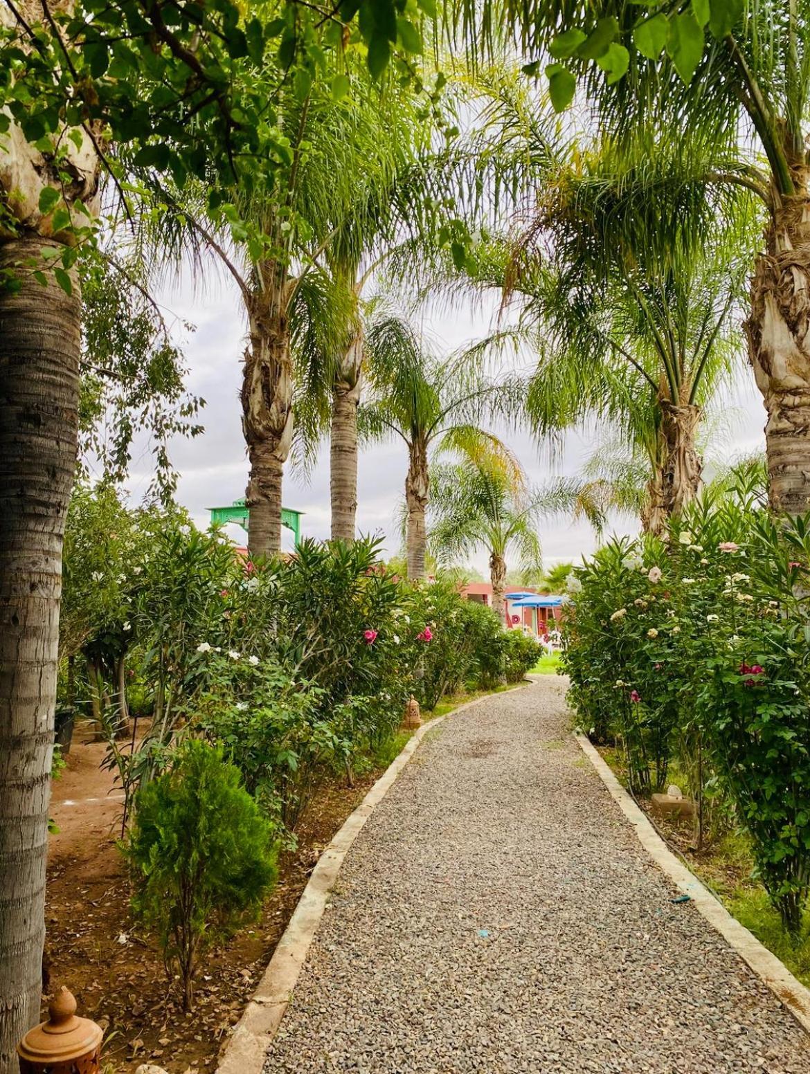 Villa Baddi Marrakech Lagouassem Eksteriør billede