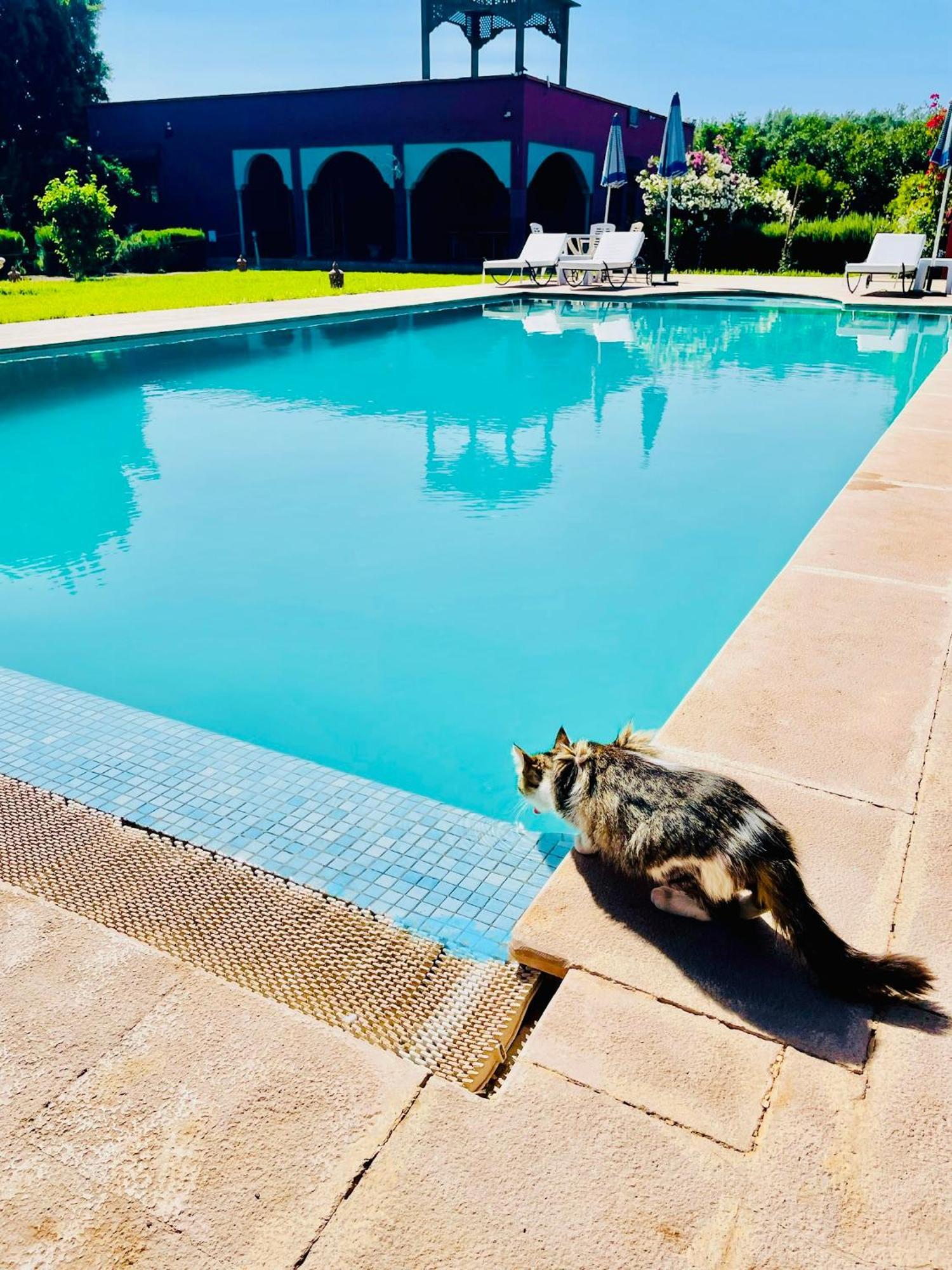 Villa Baddi Marrakech Lagouassem Eksteriør billede